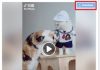 Cara Download Video Facebook menggunakan Add On (2)