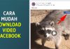 Cara Mudah Download Video Facebook di PC HP
