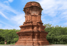 Peran dan Program Dinas Lingkungan Hidup Probolinggo dalam Menjaga Kualitas Lingkungan